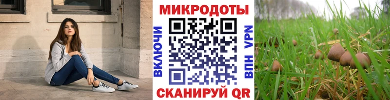Галлюциногенные грибы прущие грибы  Пенза 